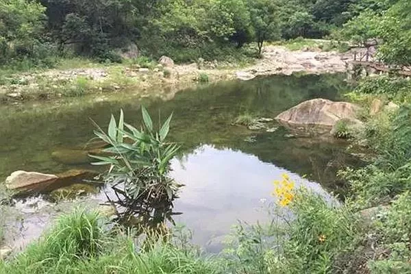 武漢周邊哪里可以抓螃蟹 姚家山香溪谷、京山美人谷值得一去