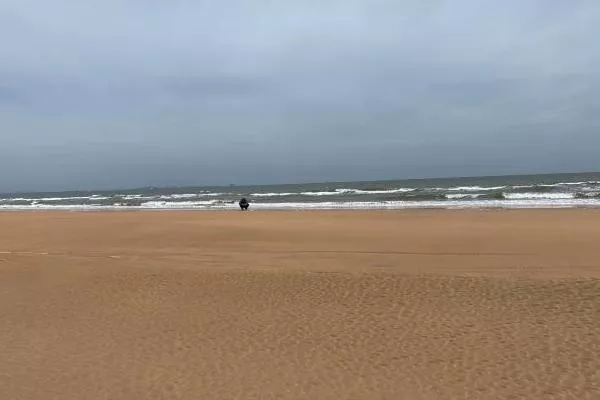 日照海濱國家森林公園開放時(shí)間